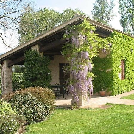 Agriturismo Le Due Torri Torre Quadrano スペッロ エクステリア 写真